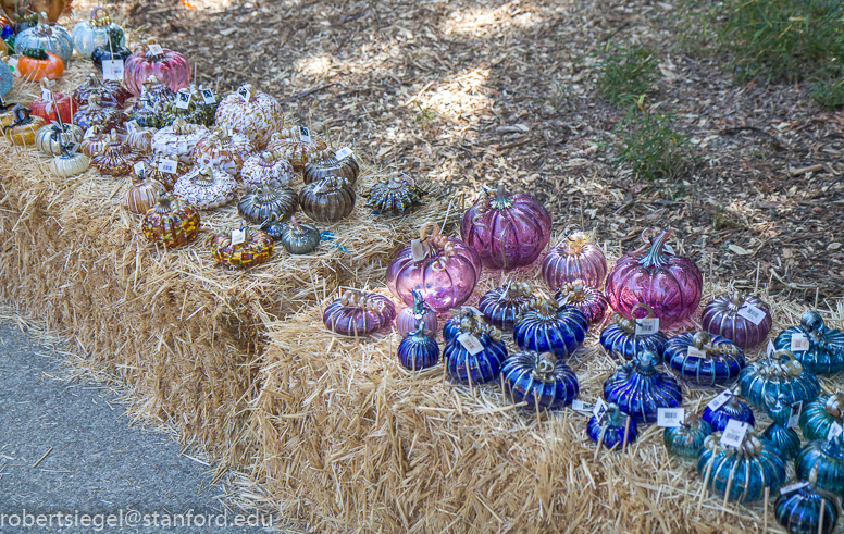 palo alto glass pumpkin show